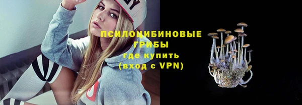 стаф Алзамай