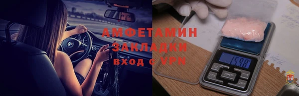 стаф Алзамай
