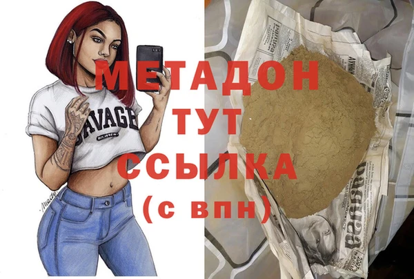 стаф Алзамай