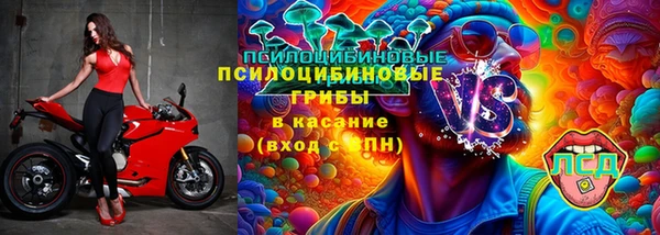 стаф Алзамай