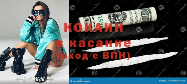 стаф Алзамай