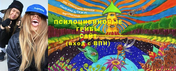 МДМА Алексеевка